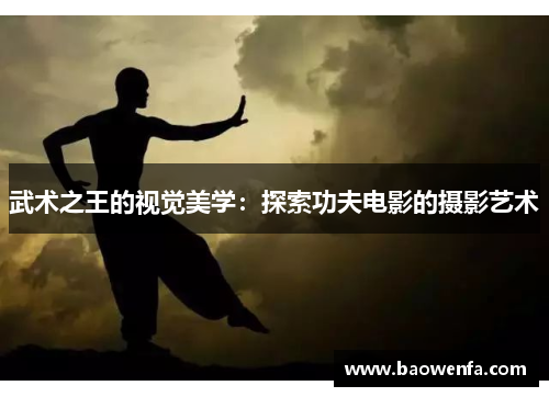武术之王的视觉美学：探索功夫电影的摄影艺术