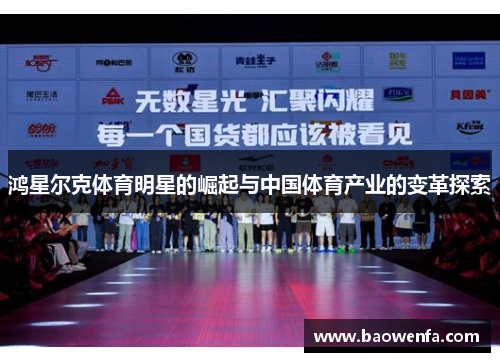 鸿星尔克体育明星的崛起与中国体育产业的变革探索